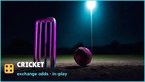 Cricket batsman at the crease beside PlayinMatch exchange odds