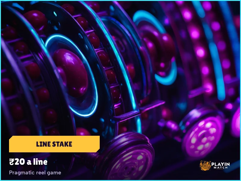 Pragmatic reel game open in the PlayinMatch lobby with the line stake at twenty rupees