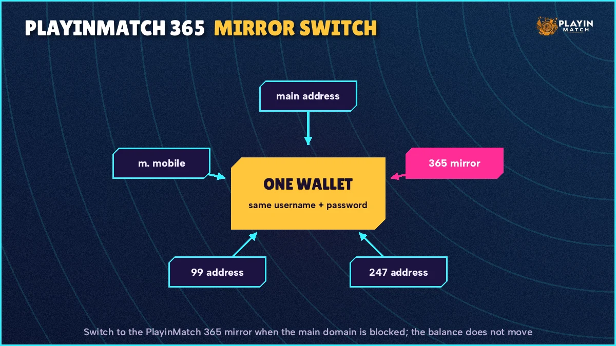 Mirror switch diagram showing five PlayinMatch addresses feeding one shared wallet